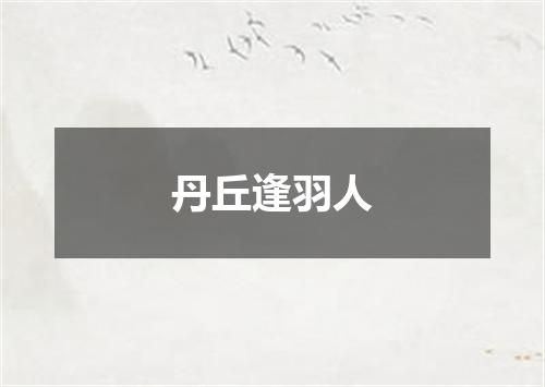 丹丘逢羽人
