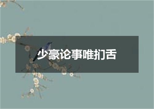 少豪论事唯扪舌