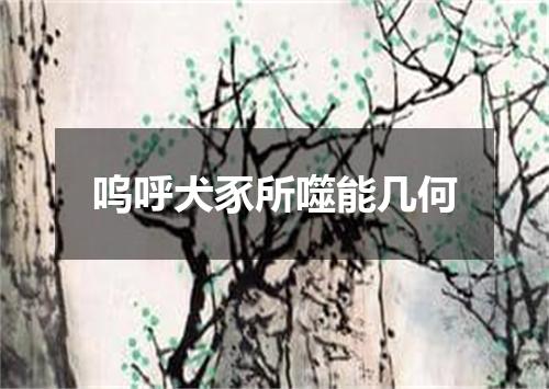 呜呼犬豕所噬能几何