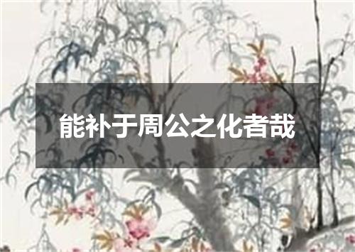 能补于周公之化者哉