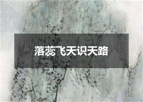 落蕊飞天识天路