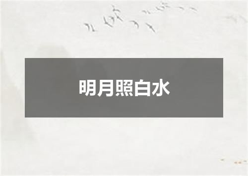明月照白水