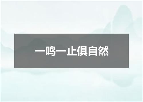一鸣一止俱自然