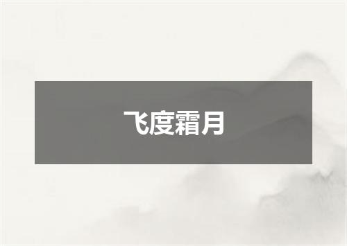 飞度霜月