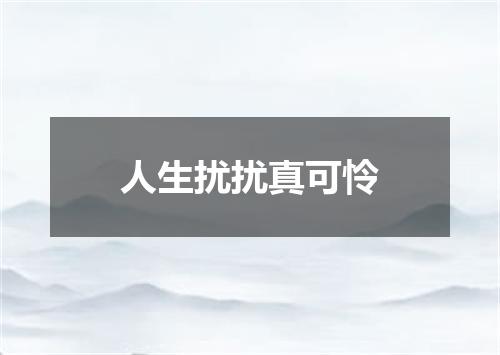 人生扰扰真可怜