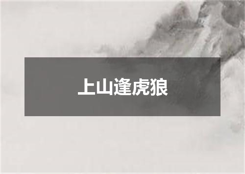 上山逢虎狼