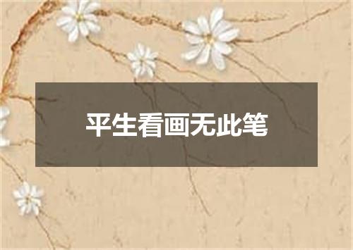 平生看画无此笔