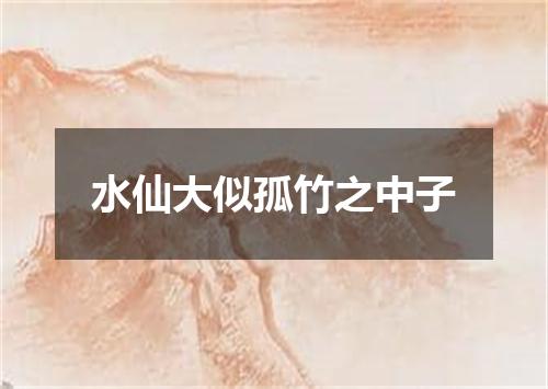 水仙大似孤竹之中子