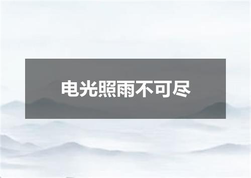 电光照雨不可尽