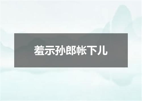 羞示孙郎帐下儿