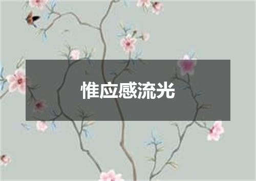 惟应感流光