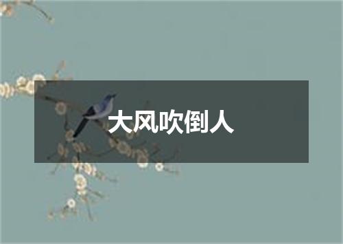 大风吹倒人