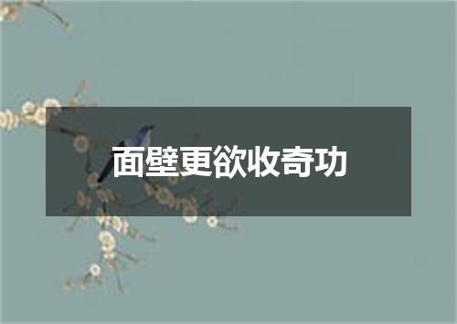 面壁更欲收奇功