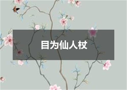 目为仙人杖