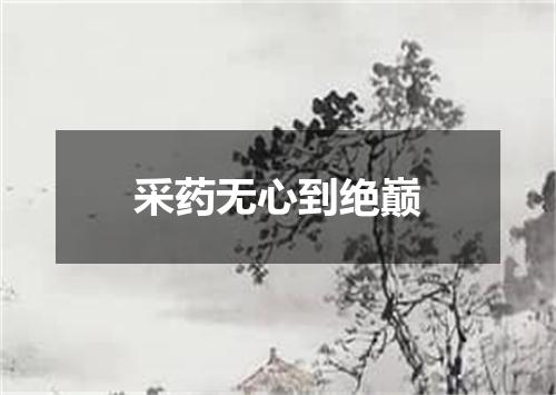采药无心到绝巅