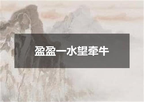 盈盈一水望牵牛