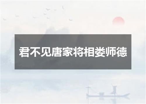 君不见唐家将相娄师德