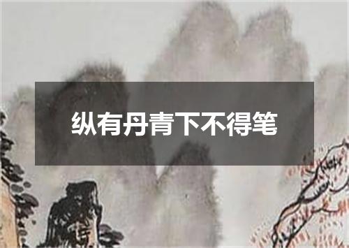 纵有丹青下不得笔