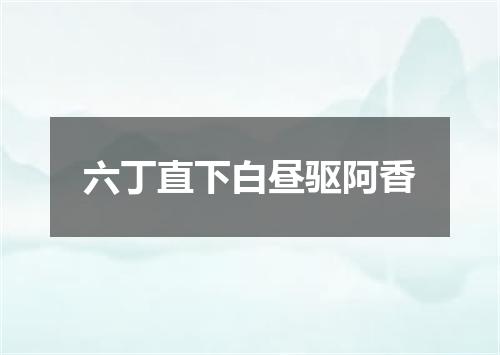 六丁直下白昼驱阿香