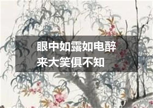 眼中如露如电醉来大笑俱不知