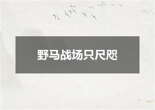 野马战场只尺咫