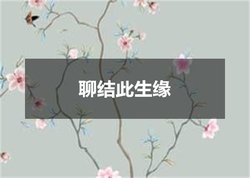 聊结此生缘