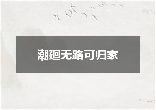 潮廻无路可归家
