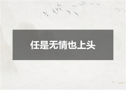 任是无情也上头