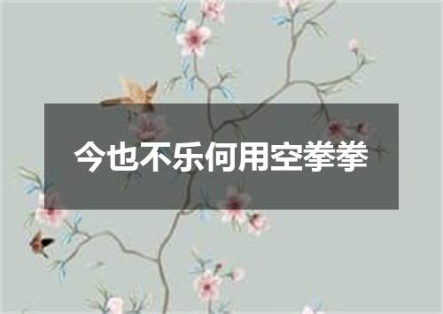今也不乐何用空拳拳