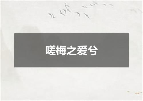 嗟梅之爱兮