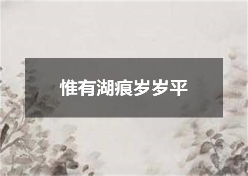 惟有湖痕岁岁平