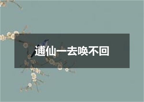 逋仙一去唤不回