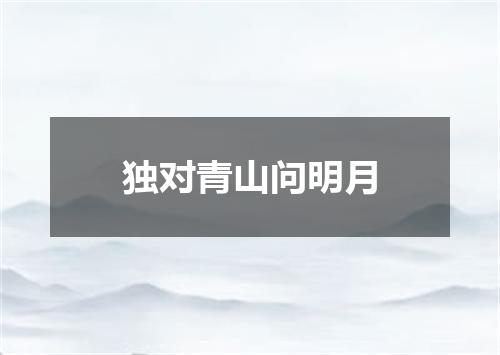 独对青山问明月