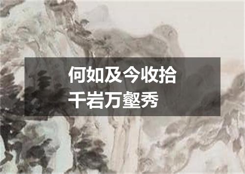 何如及今收拾千岩万壑秀