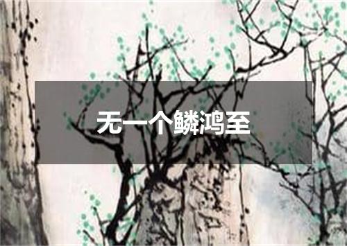 无一个鳞鸿至