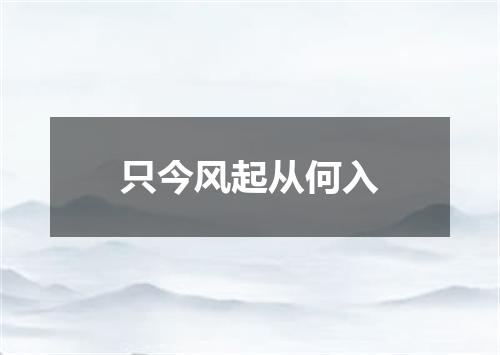 只今风起从何入