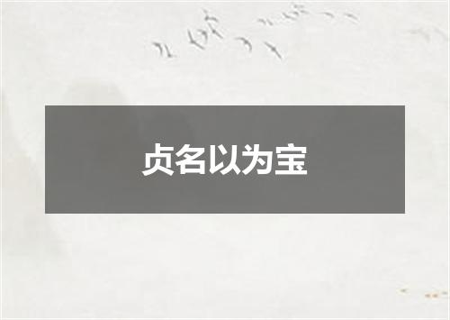 贞名以为宝