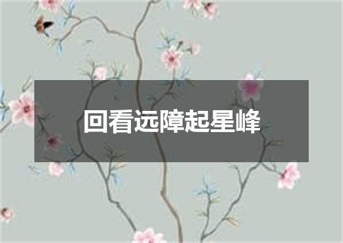 回看远障起星峰