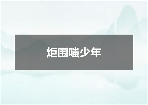 炬围嗤少年