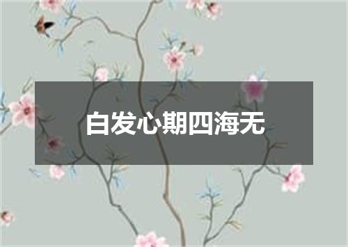 白发心期四海无