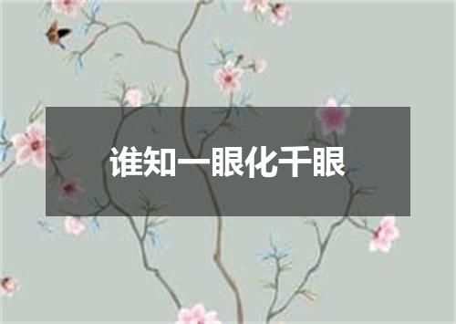 谁知一眼化千眼