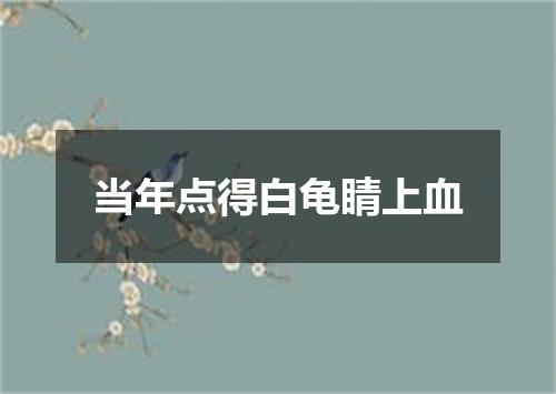 当年点得白龟睛上血