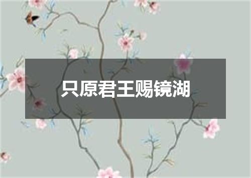 只原君王赐镜湖