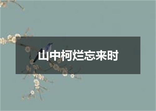 山中柯烂忘来时