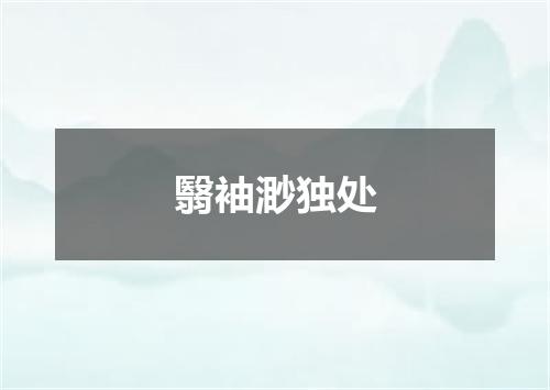 翳袖渺独处