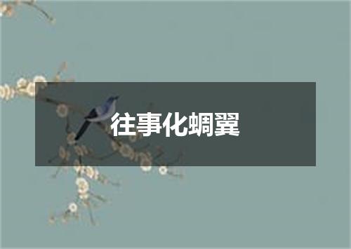 往事化蜩翼