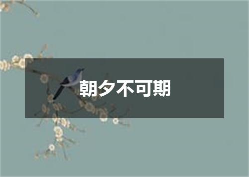 朝夕不可期