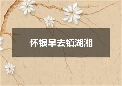 怀银早去镇湖湘