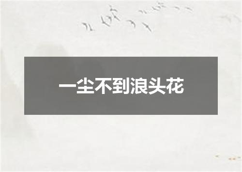 一尘不到浪头花