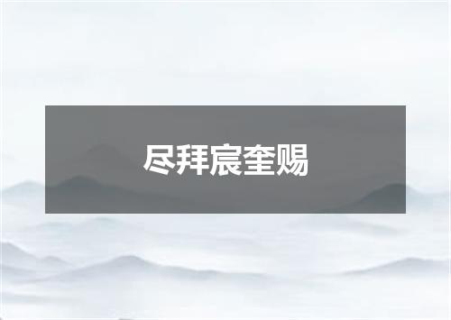 尽拜宸奎赐